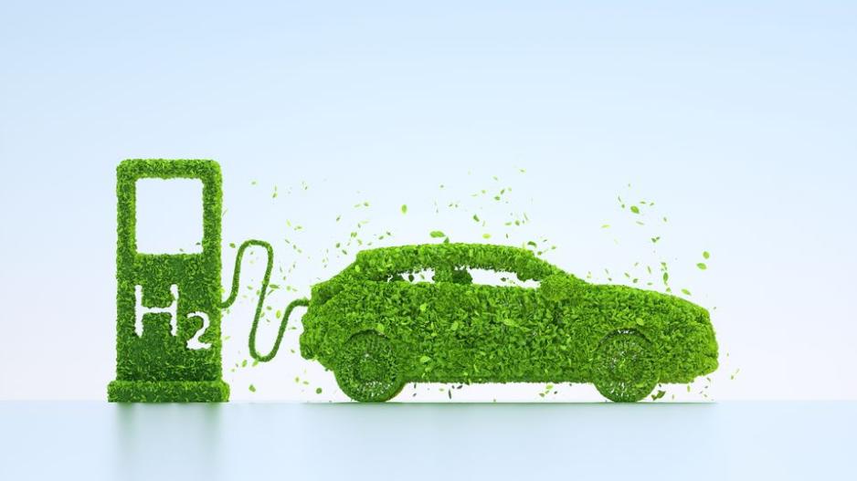 Green Giants Unleashed: Electric, Hybrid, or Hydrogen Vehicles?